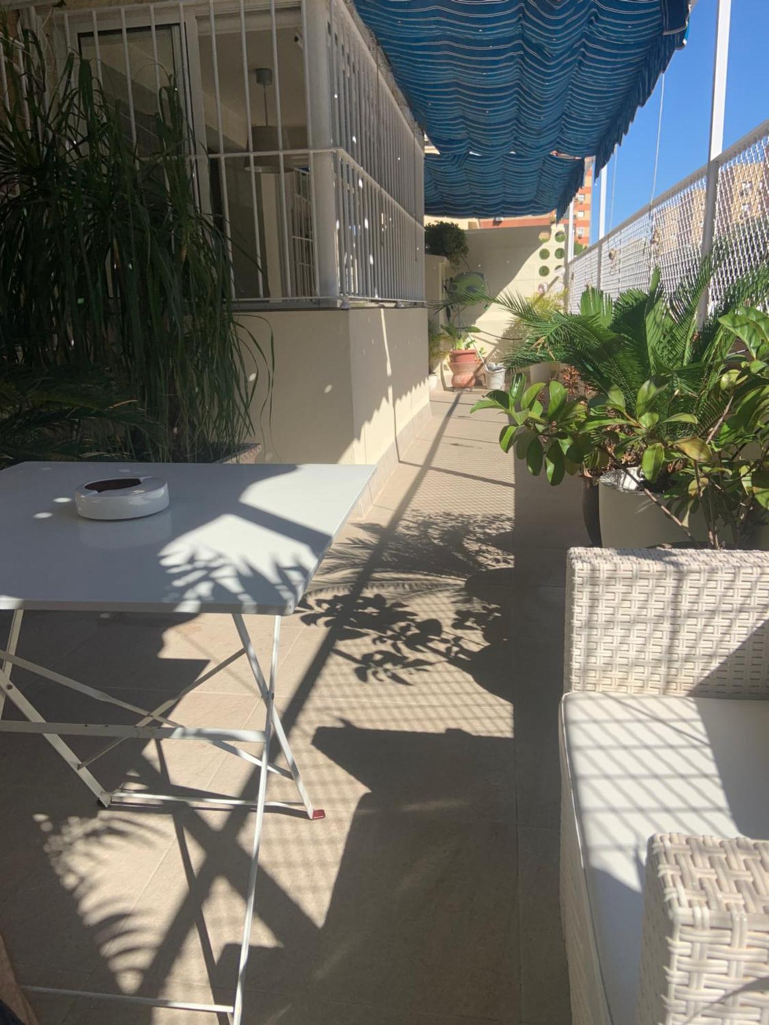 Apartamento Jardin Cerca Del Centro Sevilla Eksteriør billede